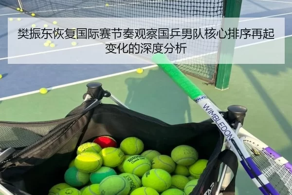 樊振东恢复国际赛节奏观察国乒男队核心排序再起变化的深度分析
